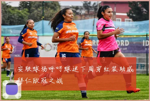 安联球场呼吁球迷下周穿红装助威拜仁欧冠之战